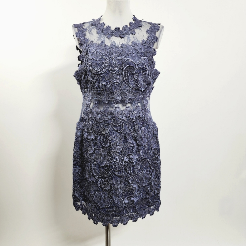 Topshop lace dress